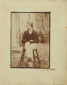 genç bir çocuk portresi by Capt. Henry Craigie Brewster