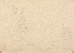 Holne Chase, 30 Mayıs 1833 by Capt. Thomas Hastings