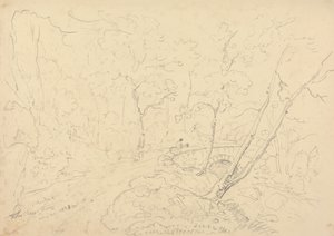 Holne Chase Köprüsü ve Nehri, 30 Mayıs 1833 by Capt. Thomas Hastings