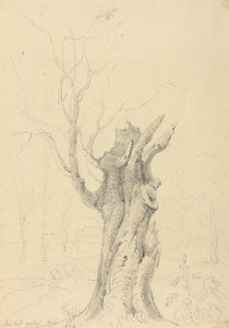 Lord Yarborough's Park, Appuldurcombe, Wight Adası'nda