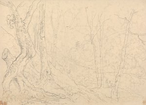 Hastings yakınlarındaki Balık Havuzlarında by Capt. Thomas Hastings