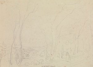Bay Nash'in Alanı by Capt. Thomas Hastings