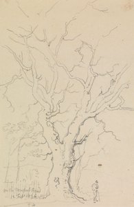 Newport Yolu'nda, 12 Şubat 1826 by Capt. Thomas Hastings