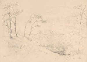 Barton Çiftlik Evi'nin yukarısındaki Ağaçlar ve Tepeler Taslağı, Wight Adası by Capt. Thomas Hastings