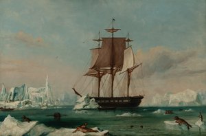  by Captain Charles (attributed to) Wilkes