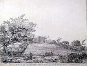 Napolyon I