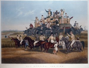 Domuz Avı: Bul, oyulmuş ve bar. Messrs Fores, c.1840 (renkli gravür) by Captain John (after) Platt