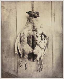 Keklik recto, c. 1861. by Captain N. Baily
