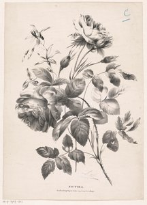cıvıl cıvıl Pictura (nesne üzerinde seri başlığı) by Carel Christiaan Antony Last