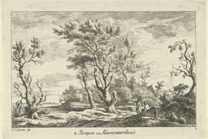 Manzaradaki Gezginler Kennemerland