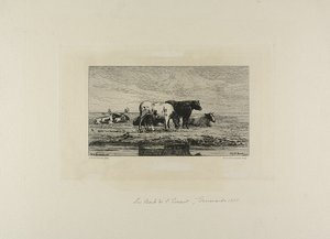 by Carel Nicholaas Storm van Gravesunde