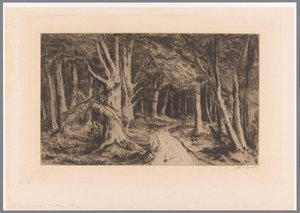 Orman yolu ile orman kenarı Entrée de forêt (orijinal başlık) by Carel Nicolaas Storm van 