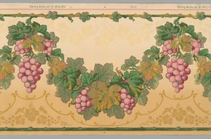 Friz (ABD), 1890–1910 by Carey Bros