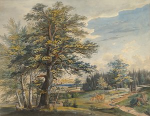 Geyik ile Ormanlık Peyzaj, 1800-1877.