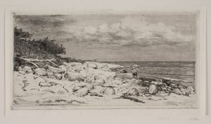 kayalık kıyı şeridi by Carl Bloch