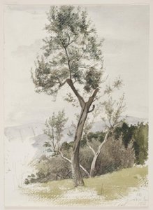 Bir yamaçta ağaçlar by Carl Bloch