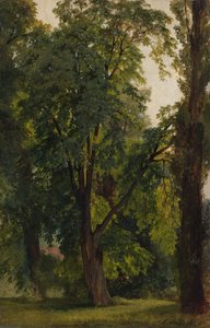 Königs Wusterhausen