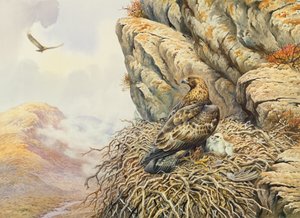 Eyrie