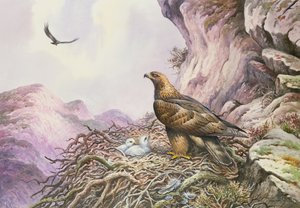Kartal Yuvalarında (wc) by Carl Donner