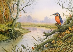 Kingfisher: Sonbahar Nehir Sahnesi