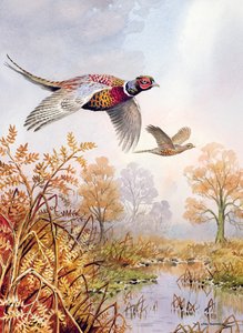 Fen üzerinde by Carl Donner