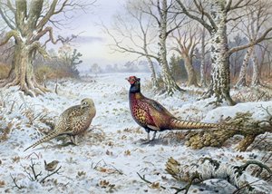 Bir Wren ile Sülün Çifti by Carl Donner