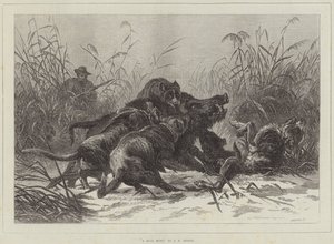 ಒಂದು ಹಂದಿ ಬೇಟೆ ಟರ್ಕಿ by Carl Friedrich Deiker
