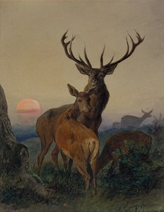 Gün Batımında Ormanlık Bir Peyzajda Geyik Olan Bir Geyik by Carl Friedrich Deiker