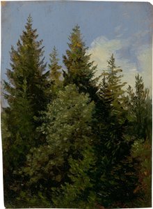  by Carl Gustav Carus