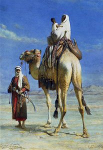 Wady Mousa