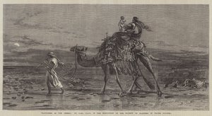 Çölde Mutluluk by Carl Haag