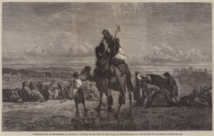 Palmyra