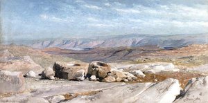 Jericho Yolundaki Kuyu by Carl Haag