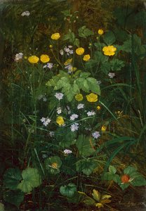 Orman zemininde düğünçiçekleri ve beni unutma by Carl Henrik Koch Moller