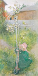 Elma çiçeği, 1894 by Carl Larsson