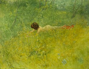 Çimenlerin üzerinde; Grongraset, 1902 by Carl Larsson