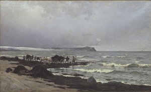 Hornbæk Plajı