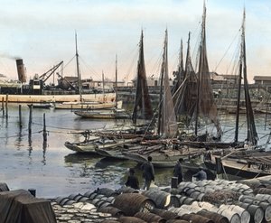 Liman, Charente-Maritime, Fransa (fotoğraf) by Carl Simon