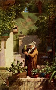 Kaktüs by Carl Spitzweg