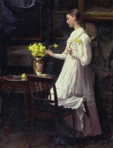 Nergis Düzenleme