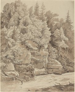 Bir Dere Boyunca Ormanlık Kayalıklar by Carl Wagner