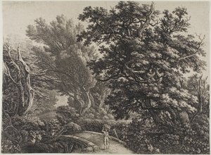 Karışık Bir Ahşapta Rustik Köprü by Carl Wilhelm Kolbe, the elder