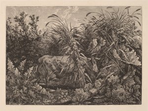 Bataklıktaki İnek by Carl Wilhelm Kolbe, the elder