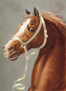 Süvari için geçit töreni yuları by Carle Vernet