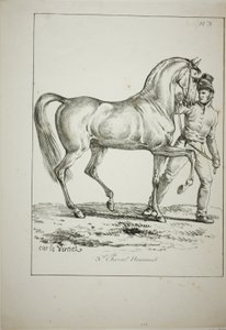 Kraliyet Muhafızı, Norman Cavalier, Tam Elbiseli Değil ve At, No. 3 by Carle Vernet