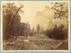 Sürücü, Gelin Duvağı, Yosemite by Carleton E. Watkins