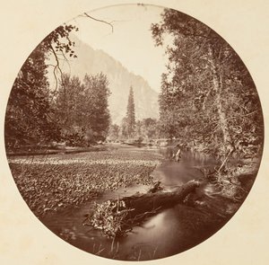 [Yosemite Ulusal Parkı, Kaliforniya], yak. 1878.