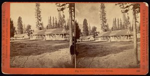 Büyük Ağaç İstasyonu, Mariposa Korusu by Carleton Watkins