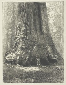  by Carleton Watkins