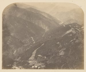 Josephine ve Çam Ağacı by Carleton Watkins